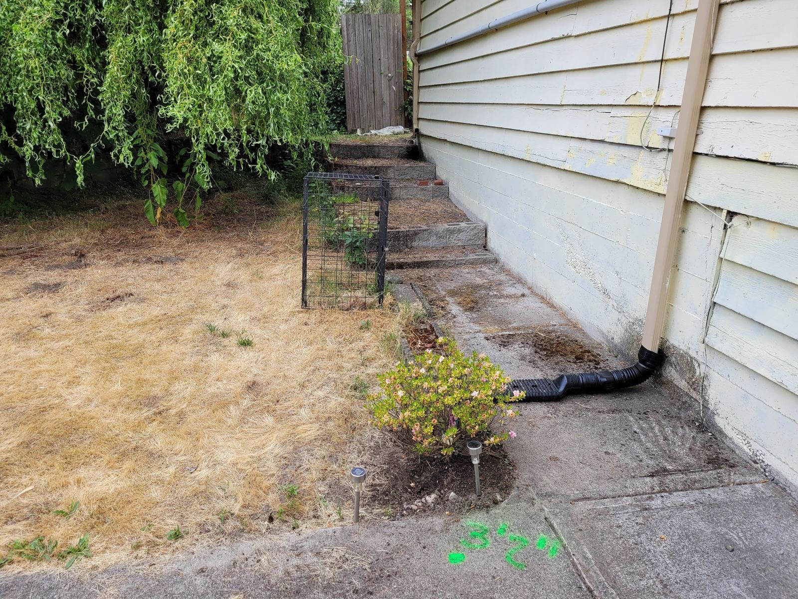 Sewer Repair in Mountlake Terrace